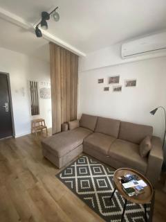Doinei Cozy Flat - Timişoara - 7