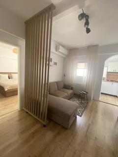 Doinei Cozy Flat - Timişoara - 0