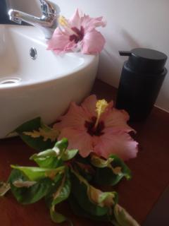 Moe Bus House - Moorea - 3