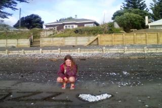Beachfront bliss - Paraparaumu - 5