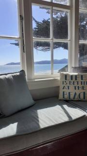 Beachfront bliss - Paraparaumu - 4