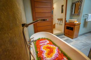 Delvana Villa 2 - Ubud - 2