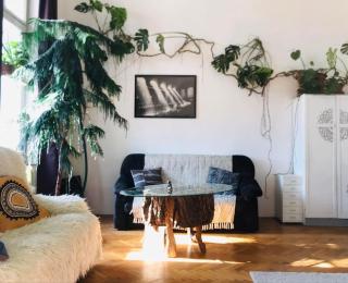 A Selva urbana - Budapest - 0