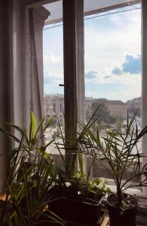A Selva urbana - Budapest - 5