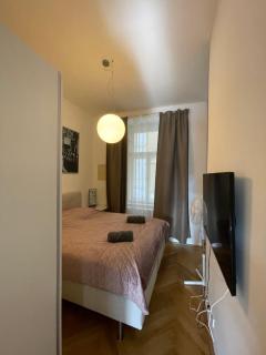 River View Apartment MANES - Prag - 1