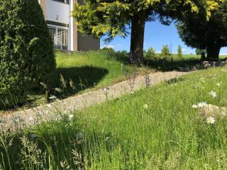Stan's Bed & Breakfast - Untergriesbach - 3