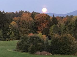 Ferienwohnung Aubach - 4