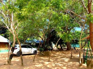 Single Trees Yala - Palatupana - 4