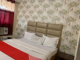 HOTEL DHANUA PALACE - 6