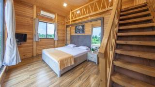 The Arowana Divine - 4