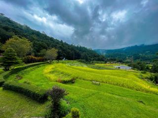 Angha forest view บ้านพิงใจ - 4