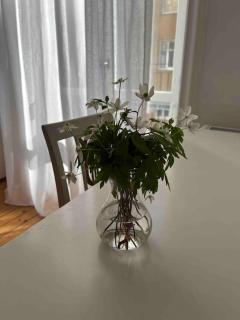 Modern lägenhet med balkong - Estocolmo - 1
