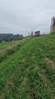 les 3 couronnes de biriatou - 7