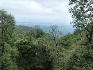 Queen's View Villa by The Cafe - Masuri - 6