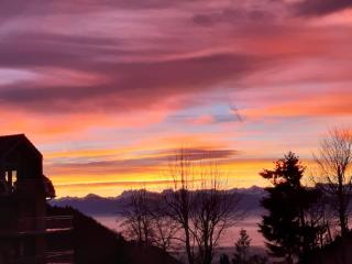 Mountain Lake View Deluxe - Saint-Cergue - 6