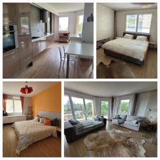 Mountain Lake View Deluxe - Saint-Cergue - 9