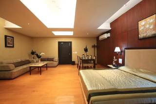 Hotel The Patricians - Bilāspur - 1