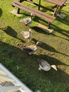 Hot tub retreat at Tattershall Lakes - 3