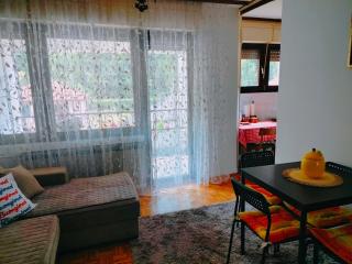 Apartman Ana - Nova Varoš - 7