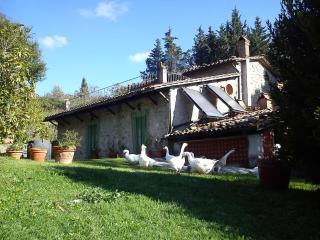 Agriturismo Podere Asche - Santa Fiora - 9