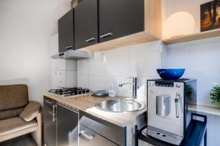 Luxe WELLNESS apartment Apeldoorn with JACUZZI and SAUNA - Apeldoorn - 6