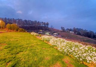 Silent Retreat Ooty Pool Resort by VOYE HOMES - Ooty - 5