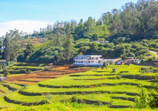 Silent Retreat Ooty Resort by VOYE HOMES - 5