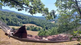 lassù minihotel - 1