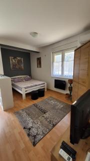 Apartman LiBra - Banja Koviljača - 6