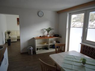 Ferienwohnung Rainer Vogelhaus - Leogang - 3