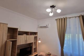 Little and cozy studio Breakfast included - Timişoara - 3