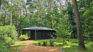 Kleine Auszeit - Cottage im Grünen - 1