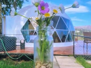 Kanal Glamp Kodaikanal Luxuries - Kodaikānāl - 2