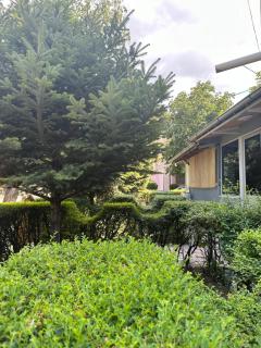 Dukati Guesthouse - 2