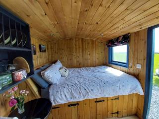 The Shearers Retreat - Llanfynydd - 9
