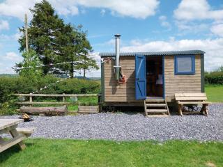 The Shearers Retreat - Llanfynydd - 8