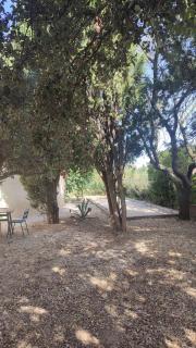 Chez Isa et Ray, un gîte en Provence - Châteaurenard - 7
