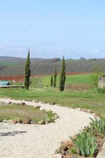 La Ferme de Long Pech - Piscine - Calme - Puycelci - 8