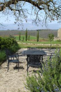 La Ferme de Long Pech - Piscine - Calme - Puycelci - 7