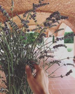 La Scuderia Charming Rooms b&b - San Paolo Solbrito - 5