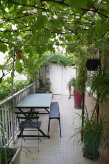 Appartement charmant à Paris 48 m² avec terrasse de 20 m² - París - 6