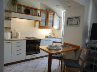 TwoWheels Apartment - apartment with bicycles - Novi Sad - 6