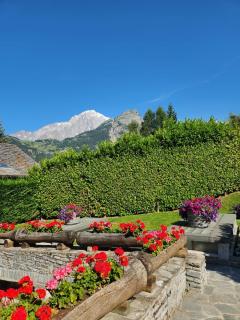 Charming Jonquille apt Cir 0080 - Courmayeur - 7