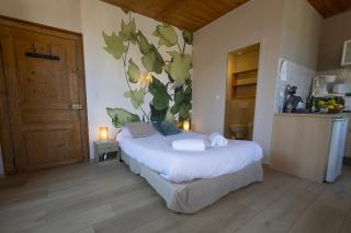 GEWURZTRAMINER - Studio au pied du vignoble - rénové récemment - parking gratuit - Riquewihr - 0