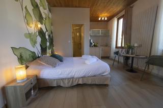 GEWURZTRAMINER - Studio au pied du vignoble - rénové récemment - parking gratuit - 6