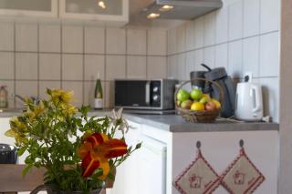 PINOT GRIS - Charmant studio au cœur du vignoble - parking gratuit - 2