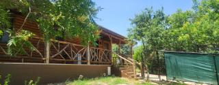 MeMaws Country Cabin - Pipe Creek - 6