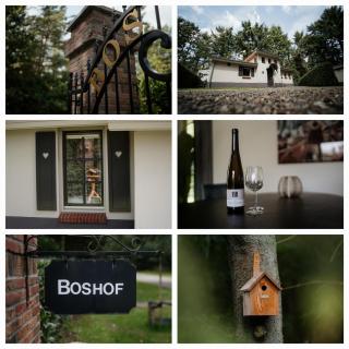 Boshof 8, parel op de Veluwe! - Ermelo - 0
