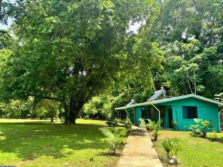 The Secret Eco Lodge - Tortuguero - 0