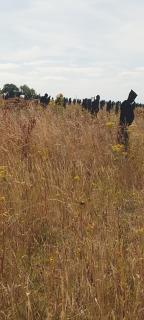 Maison à la campagne - 6